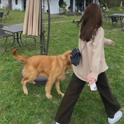 鸟人